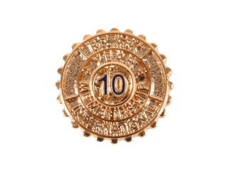 Rotary Anniversary Pin