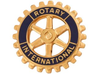 Carved Rotary Pin