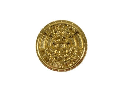 Rotary Past Governor Pin
