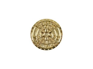 Rotary Past President Pin